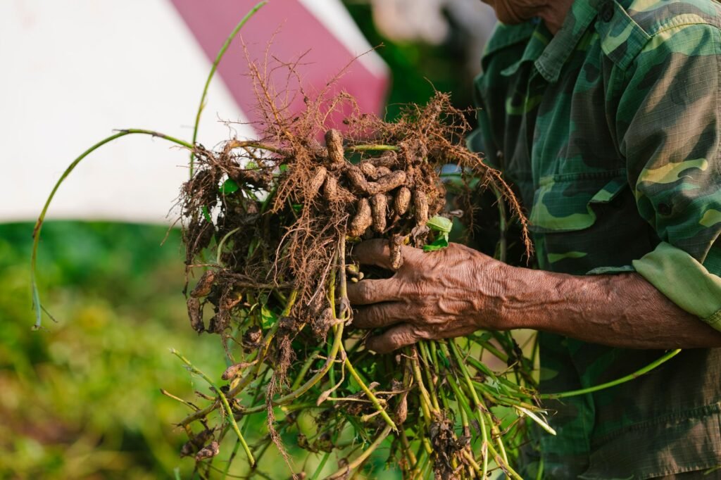 Foto: HONG SON / Pexels