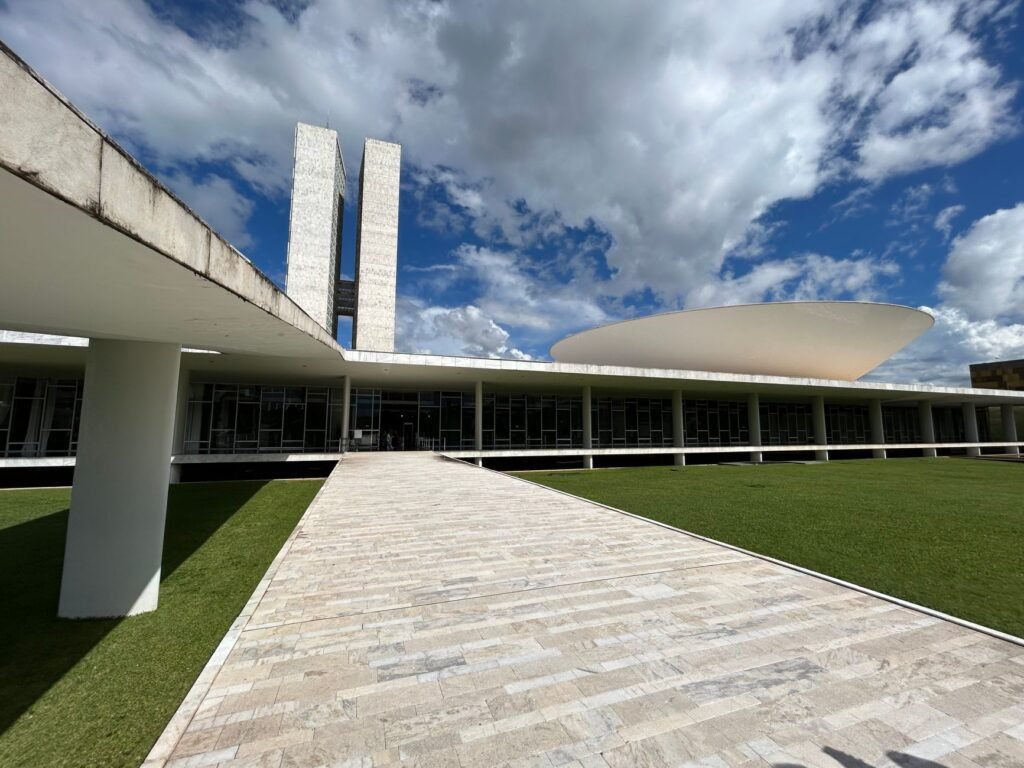 Foto: João Pavese / Pexels