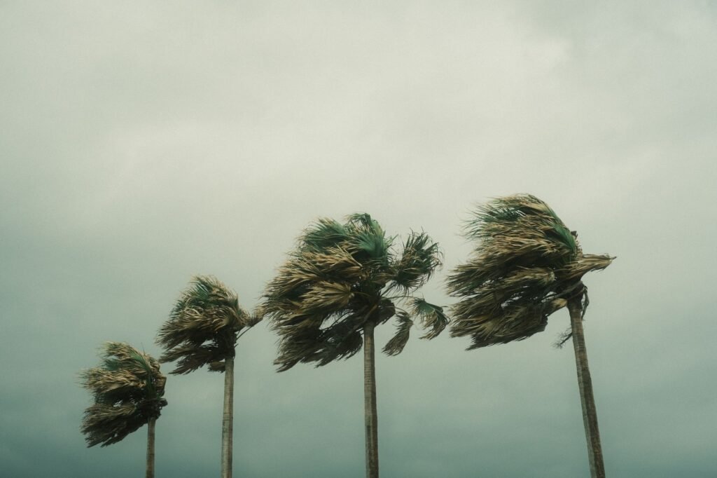 Foto: Guilherme Christmann / Pexels