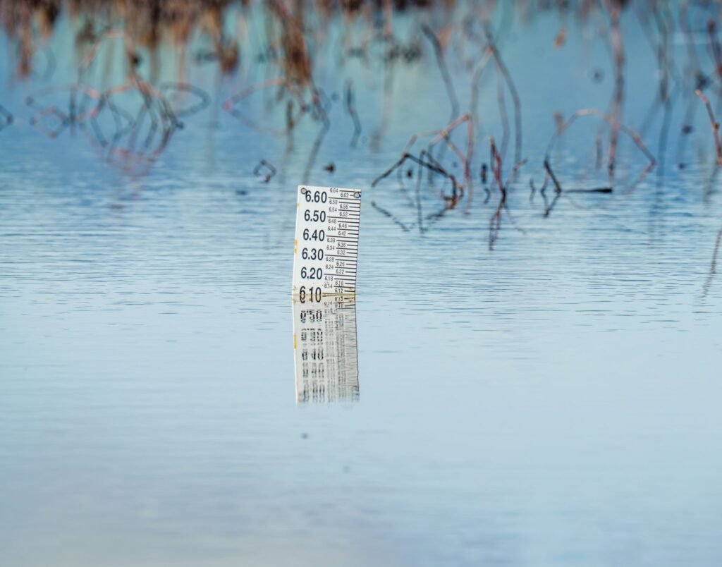 Foto: Robert So / Pexels