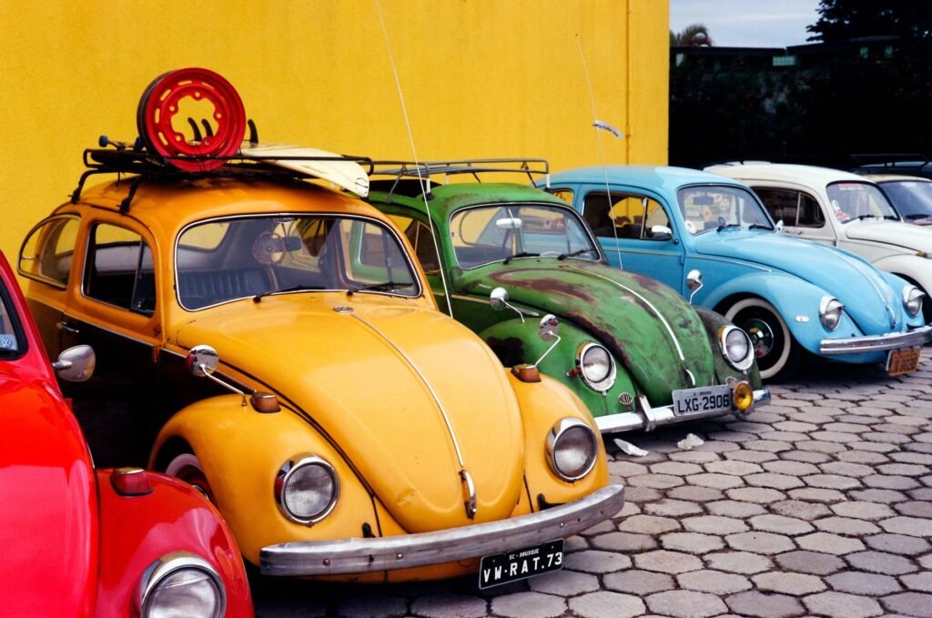 Foto: Marcello Sokal / Pexels