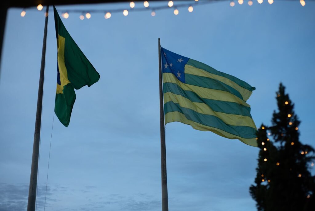 Foto: Jessika Arraes / Pexels