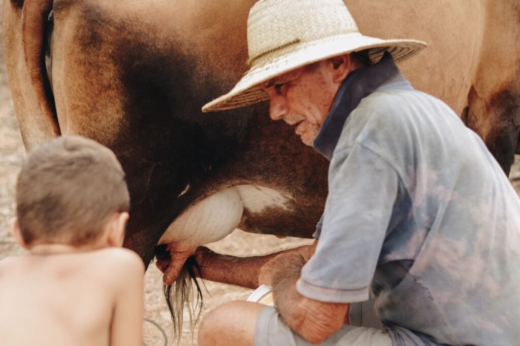Foto: Jefferson Lucena / Pexels