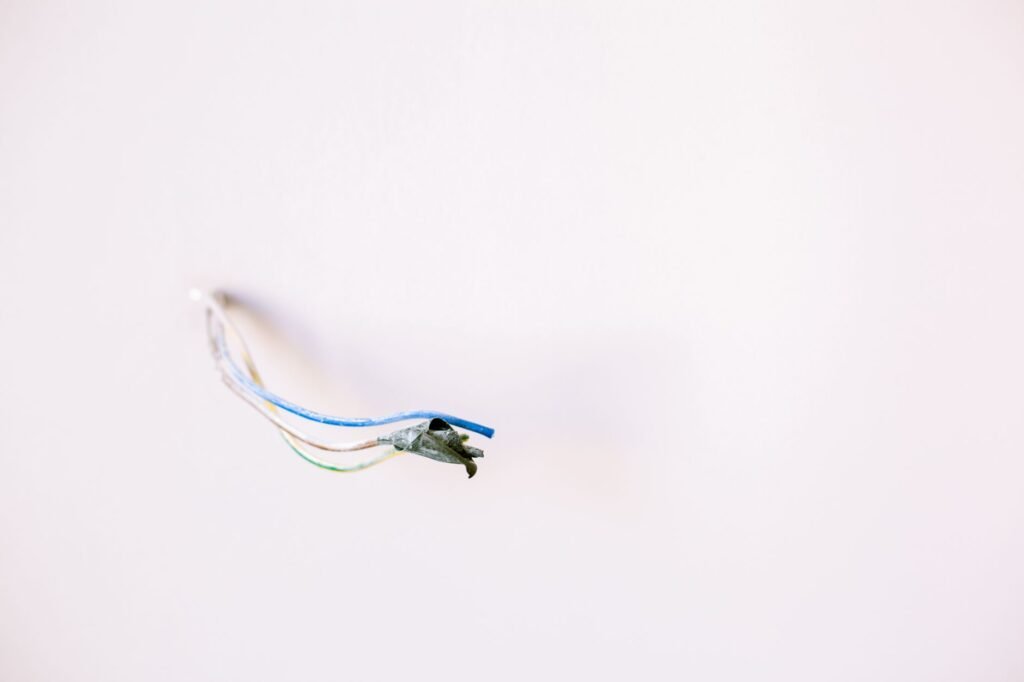 Foto: La Miko / Pexels