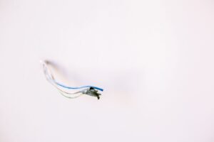 Foto: La Miko / Pexels