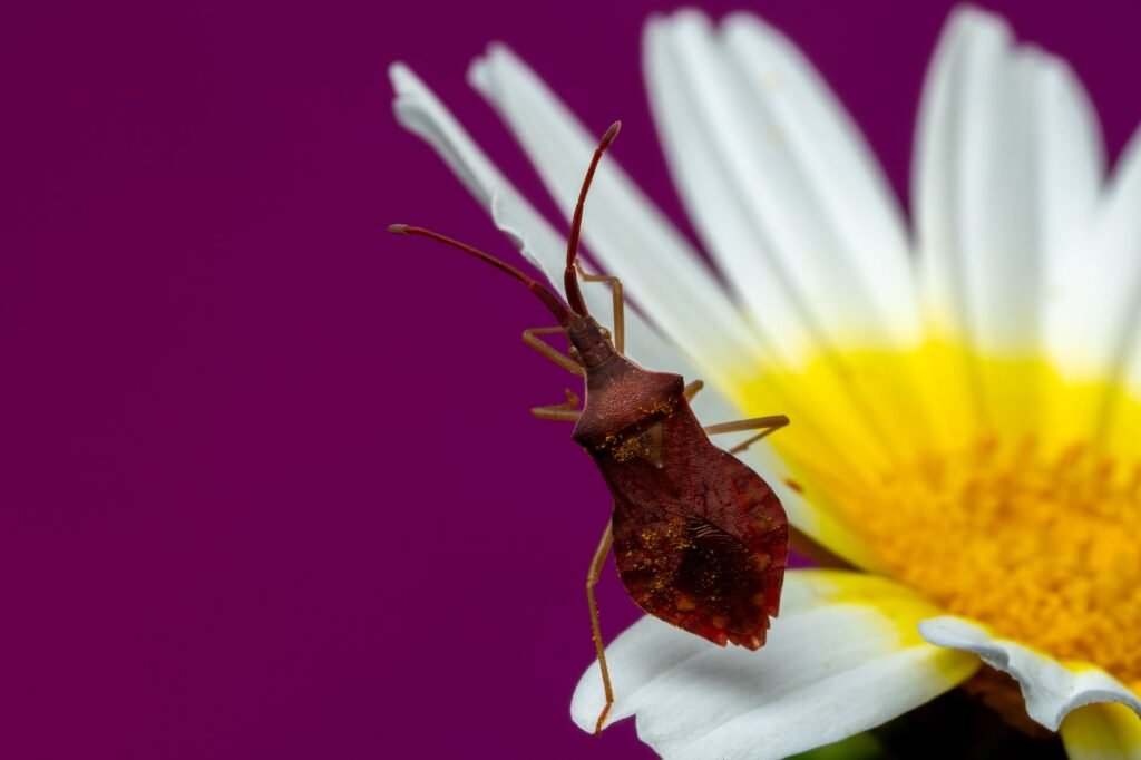 Foto: Rafael Minguet Delgado / Pexels