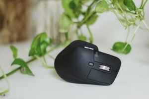 Foto: Vitória Santos / Pexels