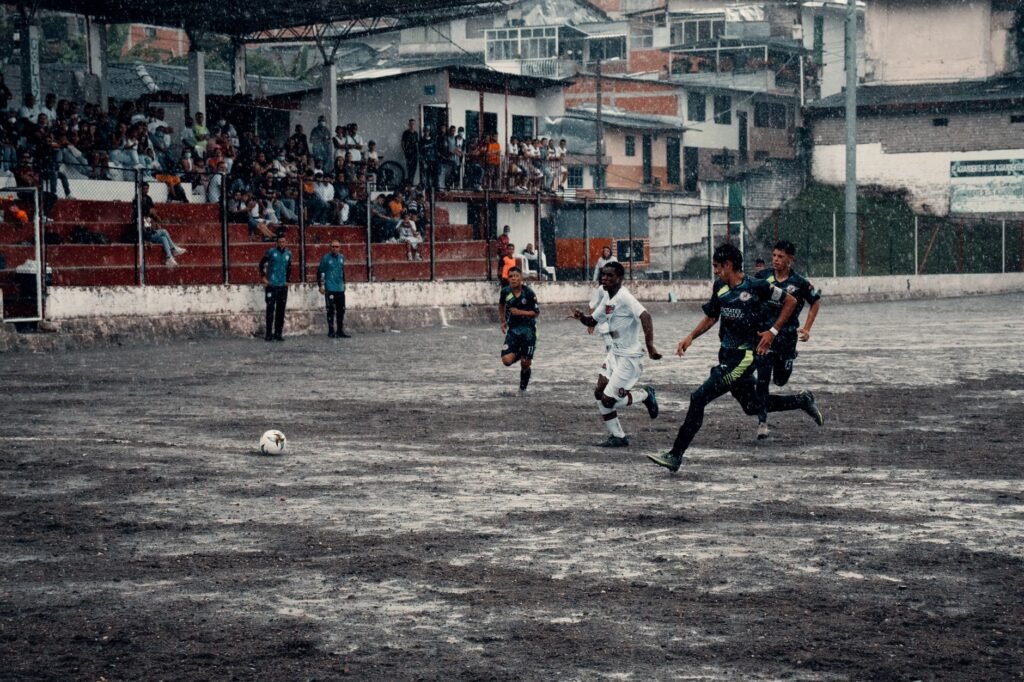Foto: Johan Toro / Pexels