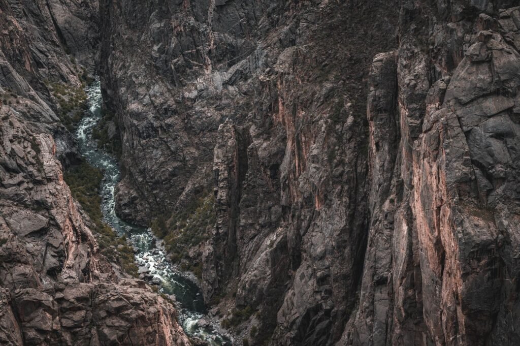Foto: Alfo Medeiros / Pexels