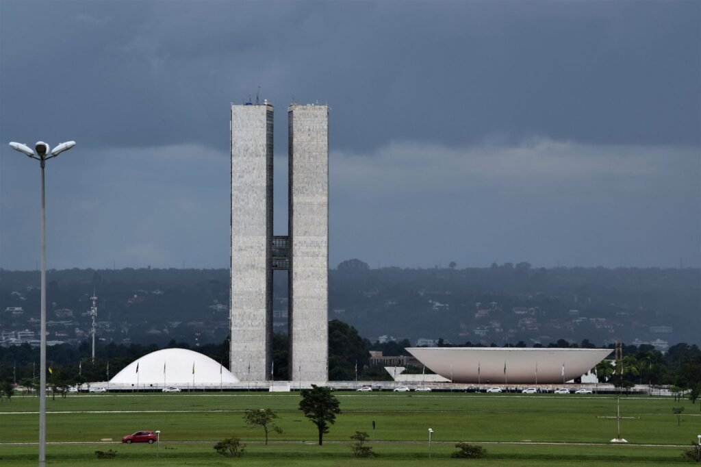 Foto: Magali Guimarães / Pexels