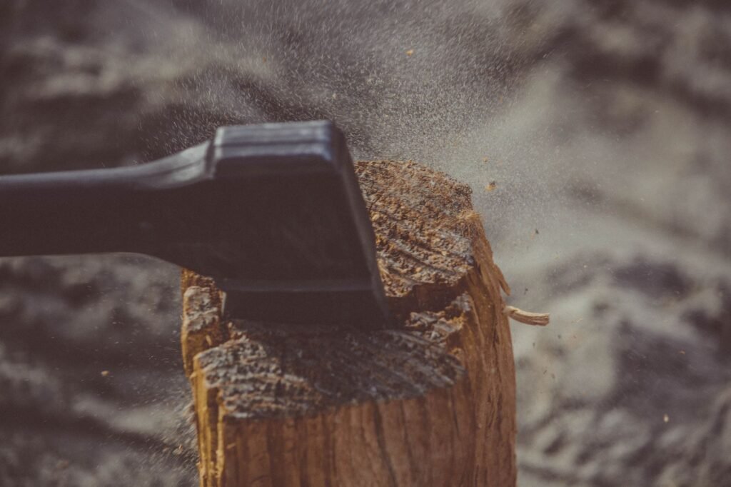 Foto: Photo Collections / Pexels