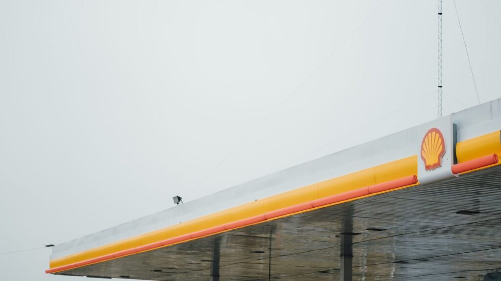 Foto: Sofía Falco / Pexels