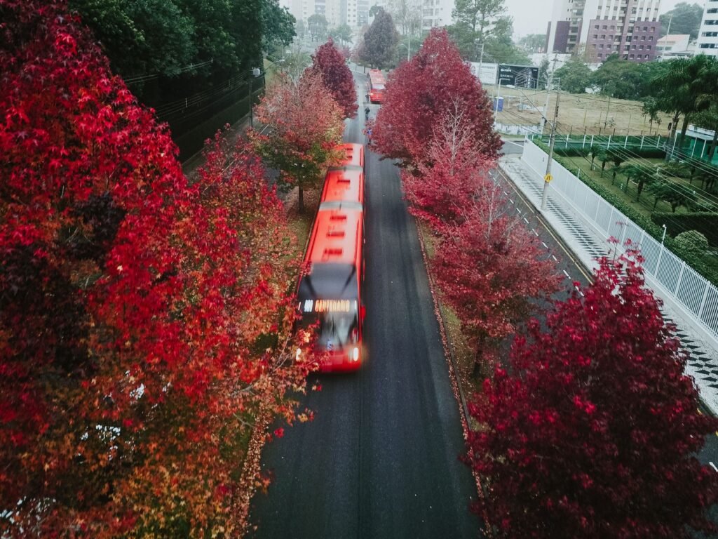 Foto: Daniel Andraski / Pexels